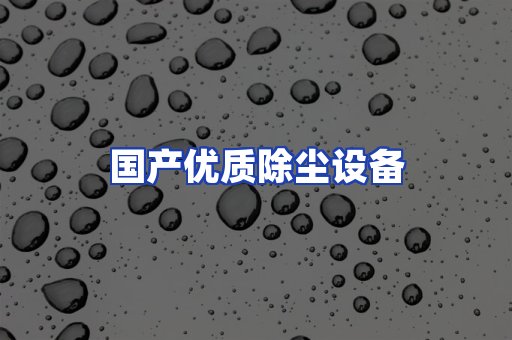 国产优质除尘设备