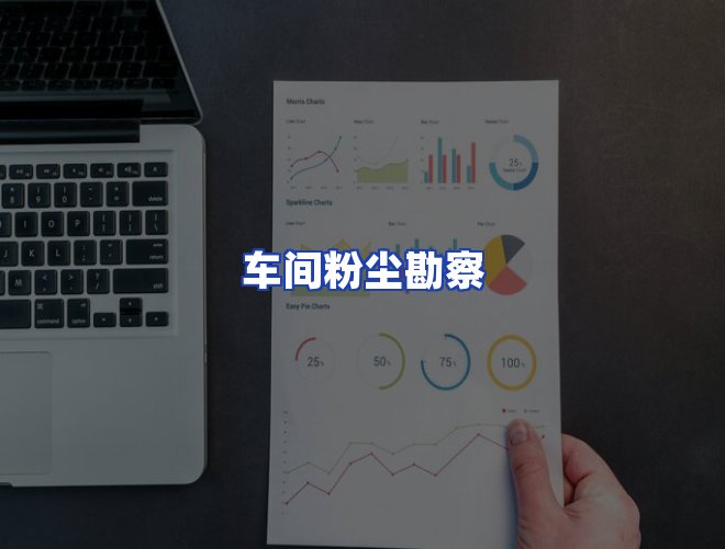 专业团队